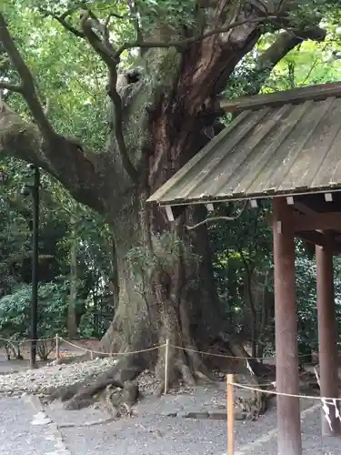 月夜見宮（豊受大神宮別宮）の自然