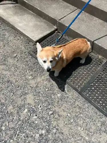 姫宮神社(宮城県)