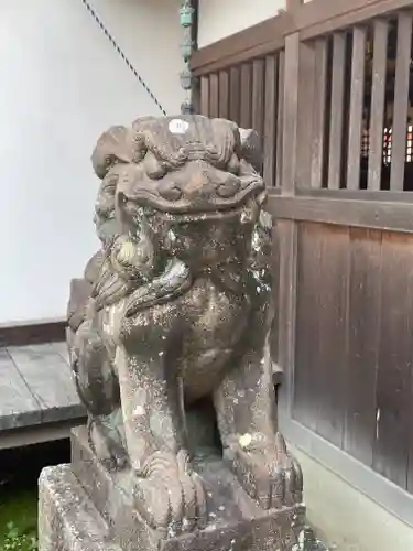 泉穴師神社の狛犬