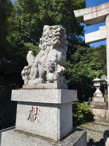 立川熊野神社の狛犬