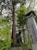 千歳神社の狛犬