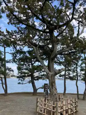琵琶島神社(神奈川県)