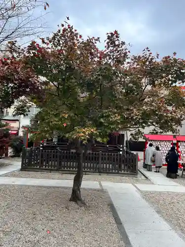 三輪神社の庭園