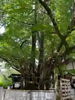 伊那下神社(静岡県)