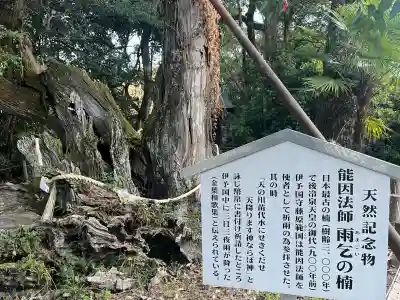 大山祇神社(愛媛県)