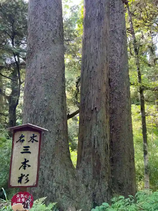 笠森寺(千葉県)