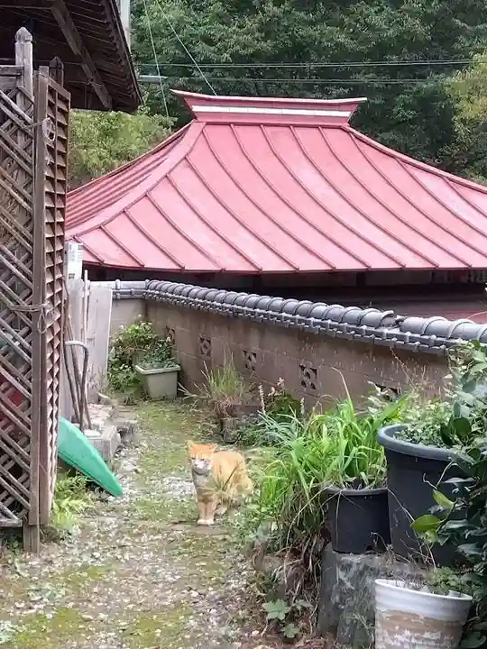 光珠院(埼玉県)