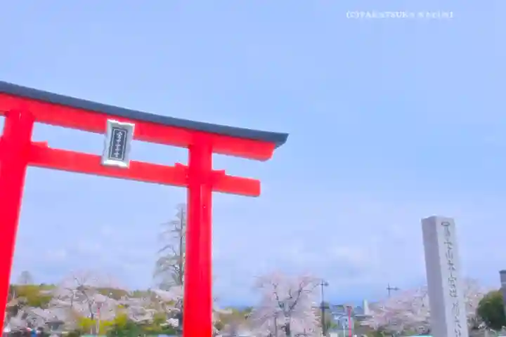 富士山本宮浅間大社(静岡県)