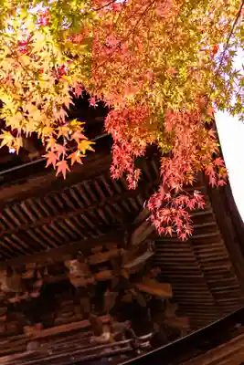 新海三社神社(長野県)