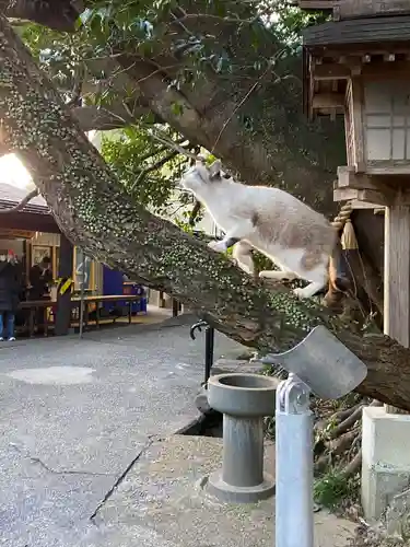 八大龍王水神(宮崎県)