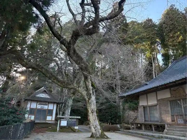 福田寺(愛知県)
