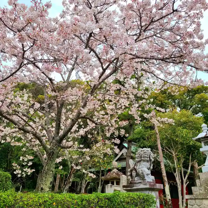 桜ヶ池池宮神社(静岡県)