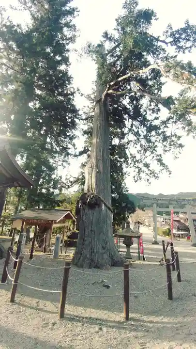 飛驒一宮水無神社(岐阜県)