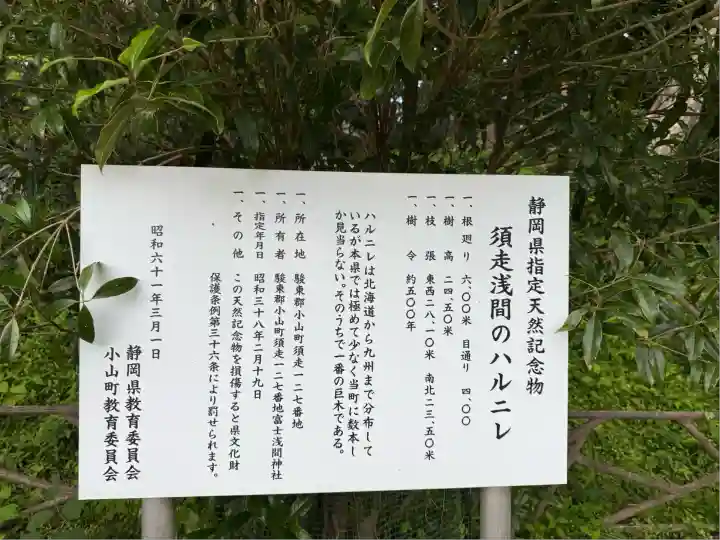 富士山東口本宮 冨士浅間神社(静岡県)