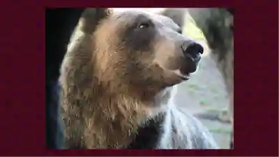 北海道神宮(北海道)