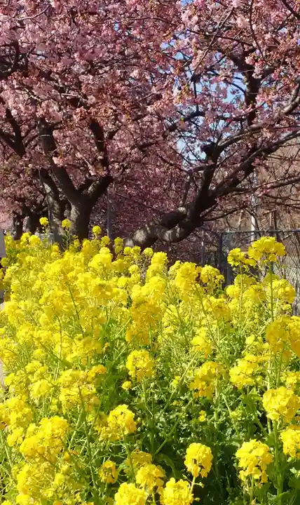 海南神社(神奈川県)
