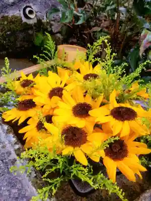 本郷氷川神社(東京都)