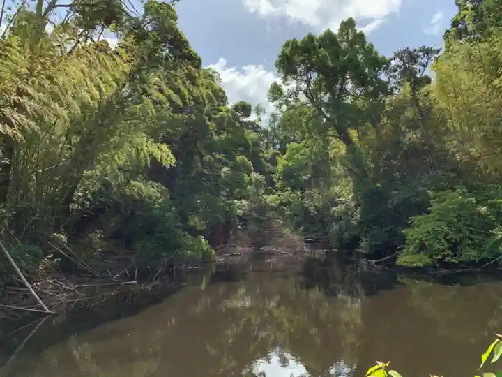 熊野神社の周辺