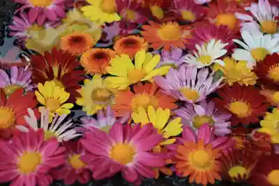 大鏑神社の手水舎