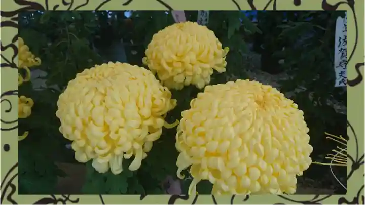 草加神社(埼玉県)