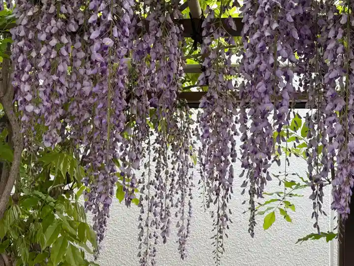 西方山極楽寺(岐阜県)