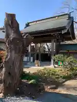 神宮寺の山門・神門