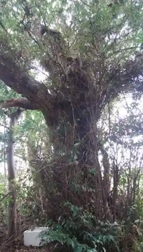 稲荷神社の自然