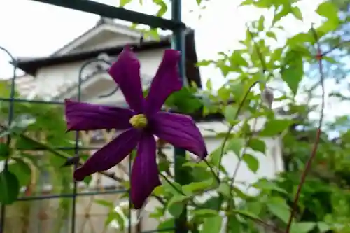 おふさ観音（観音寺）の庭園