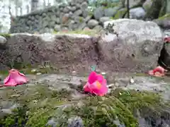 玉作湯神社(島根県)