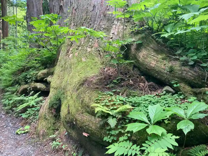 戸隠神社九頭龍社(長野県)