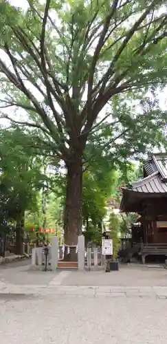田無神社の動物