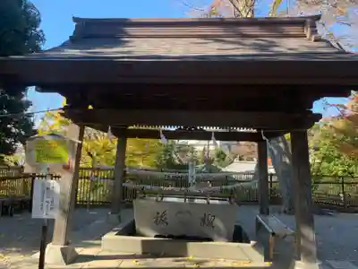 師岡熊野神社の手水舎
