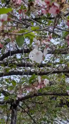 本法寺(京都府)