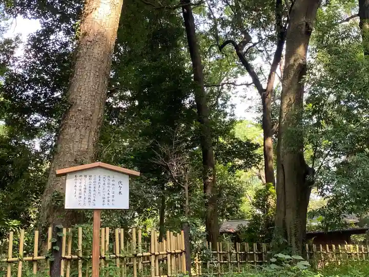 明治神宮(東京都)