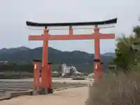 青島神社(青島神宮)(宮崎県)