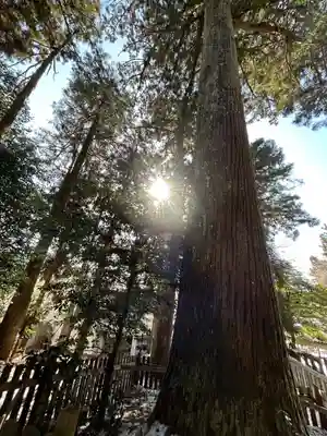 天鷹神社(岐阜県)