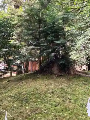 賀茂神社(滋賀県)