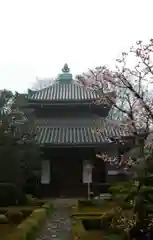 安楽寺の建物その他