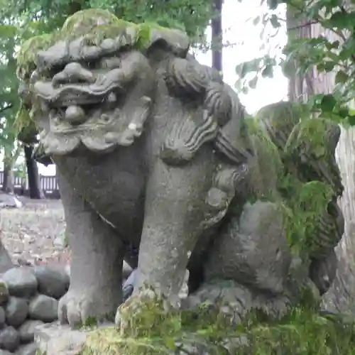 鵜坂神社の狛犬