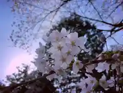 滑川神社 - 仕事と子どもの守り神の自然