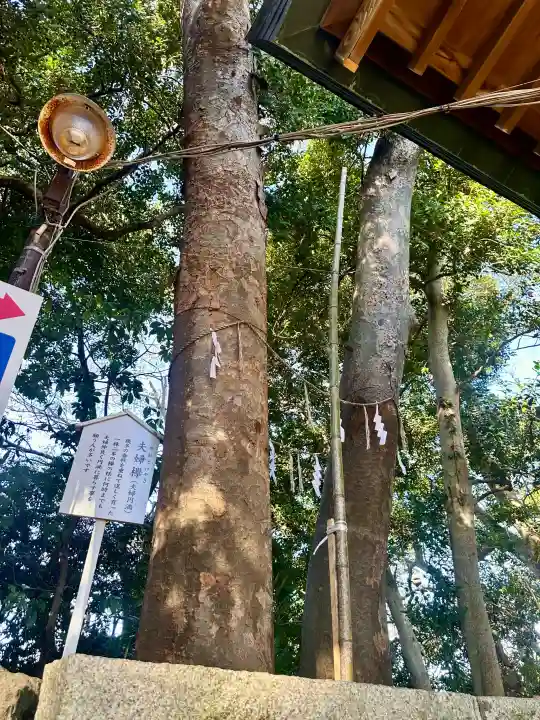検見川神社(千葉県)