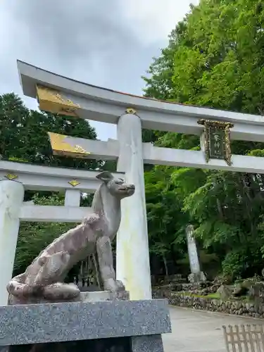 三峯神社の狛犬