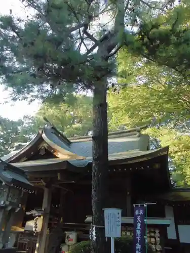 前鳥神社の本殿・本堂