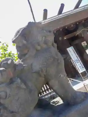 札幌護國神社の狛犬