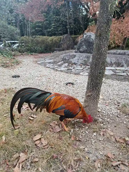 熱田神宮(愛知県)