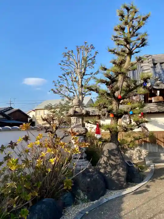 大松禅寺の自然