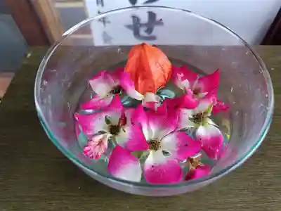 美瑛神社の手水舎