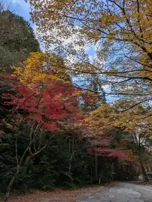 大矢田神社(岐阜県)