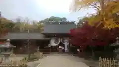 富部神社(愛知県)