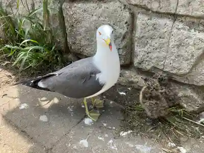 蕪嶋神社(青森県)